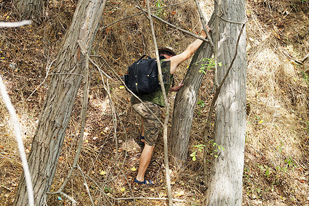 一个男人背着一个背包 爬上树之间的山游客远足者旅行成人勘探摄影旅游踪迹木头爱好图片