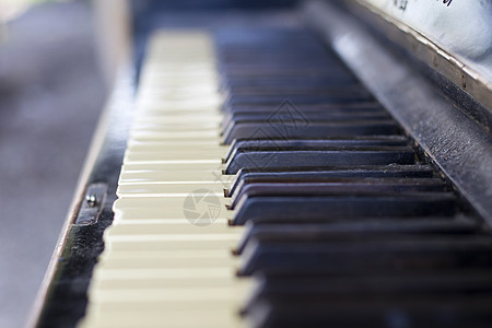 钢琴键近接键 黑白键键盘琴键教育娱乐音乐钢琴家表演音乐会学习音乐家图片