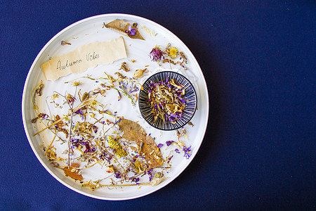 秋天的气息 干燥的植物和蓝色本底板上的花朵餐具艺术桌子厨具收藏环境奢华装饰盘子制品图片