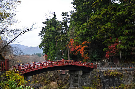 古老的日本红弧桥和秋叶 在仙田日本图片