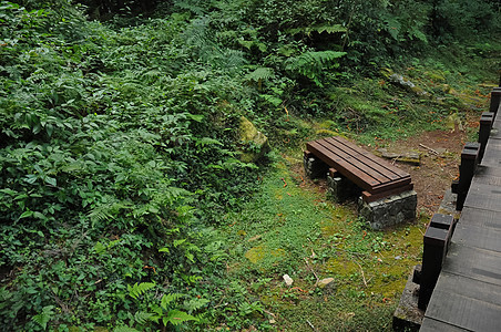 宁静地在风景优美自然公园的板凳上休息图片