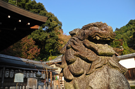 日本京都古寺的日本石狮雕像图片
