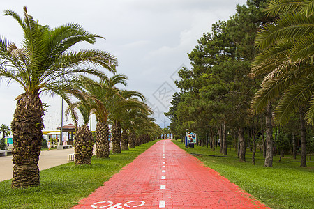巴图米 黑海海滩 棕榈树和格鲁吉亚公园建筑蓝色海岸旅游码头海滩公园旅行正方形城市背景图片