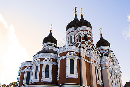 TALLINN 埃斯通尼亚 建筑在老城中 著名的地标木头旅游场景城市世界财产纪念碑旅行城堡文化图片