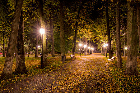 夜间秋夜公园 在人行道和长凳上放落叶子正方形木头胡同长椅景观城市灯光公园金子小路图片
