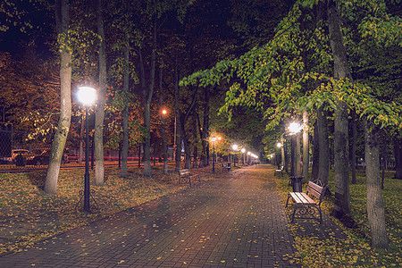 夜间秋夜公园 在人行道和长凳上放落叶子胡同木头景观秋夜公园路面正方形金色长椅叶子图片
