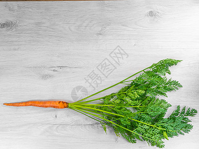 橙色天然胡萝卜 长长的尾尾巴树叶生物节食农业植物块茎饮食食物蔬菜乡村图片