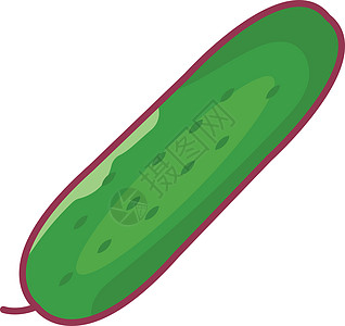 沙拉蔬菜植物种子绿色插图营养食物水果图片