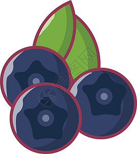 水果果艺术饮食叶子插图浆果食物蓝色营养水果农业图片