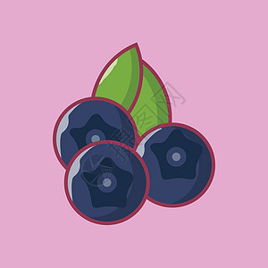水果果食物营养蓝色插图农业叶子水果艺术浆果饮食图片