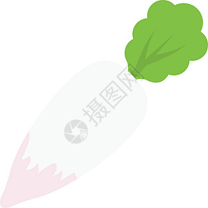 蔬菜食物植物字体白萝卜沙拉营养生产饮食图片