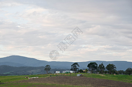 亚拉河谷乡村和山地人和平夜景地区葡萄园丘陵生长风景旅行场地栽培旅游农村图片