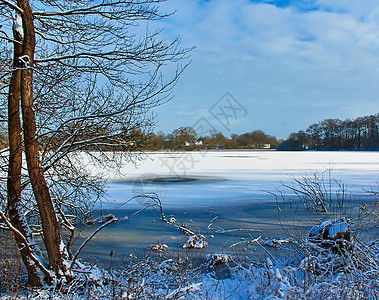 美丽的冬季拍摄 在湖和森林中 有雪和冰寒意季节蓝色桦木松树树木场景太阳木头冷藏图片
