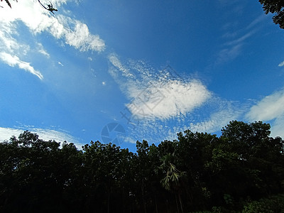 青蓝天空 绿色大自然美丽场地墙纸日光活力天空空气海浪种子蓝色公园背景图片