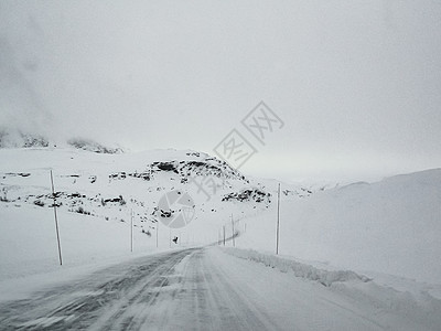 在挪威的雪路和风景中行驶季节小路天气暴风雪旅行国家乡村森林木头运输图片