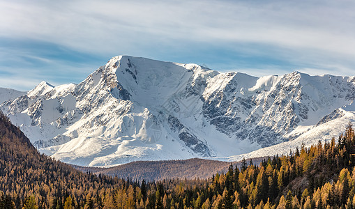 雪山山峰和北 Chuyskiy 山脊斜坡的风景全景鸟瞰图 前景中的金色树木 美丽的蓝色多云天空作为背景 阿尔泰山脉 西伯利亚 俄图片