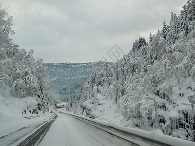 在挪威的雪路和风景中行驶运输天气乡村交通暴风雪森林国家旅行季节小路图片