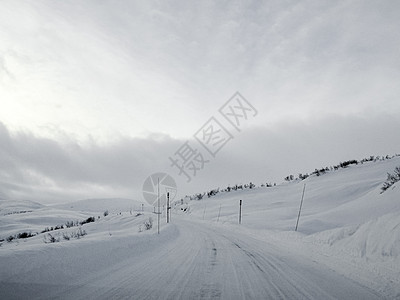 在挪威的雪路和风景中行驶乡村木头小路天气交通运输森林旅行国家暴风雪图片