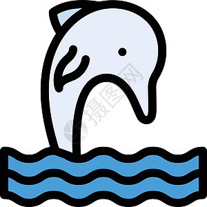 鲸脚蹼海洋鲸类生活水族馆生物哺乳动物动物荒野插图图片