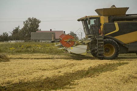将收割小麦的采摘机与空气中的灰草结合起来 重农用机械 包括肥料和水分 土壤等 d 农业面包耳朵土地种子收成拖拉机大麦粮食生长灰尘图片