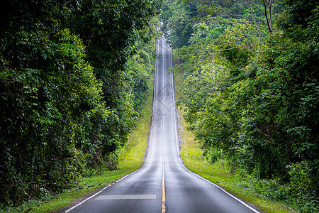 在绿树周围的农村 直行道路图片