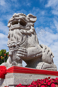 石狮雕像建筑旅行文化天空城市建筑学宗教首都蓝色旅游图片