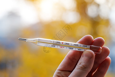 在秋天背景的水银温度计 健康人的正常体温是36 6度疫苗摄氏度药品玻璃流感橙子医院发烧疾病温度背景图片