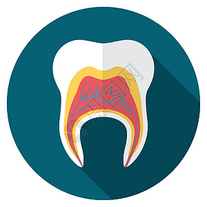 使用长阴影 孤立的牙齿图标现代矢量图示 用长阴影绘制牙疼微笑卫生磨牙药品插图徽章口腔科牙膏凹痕图片