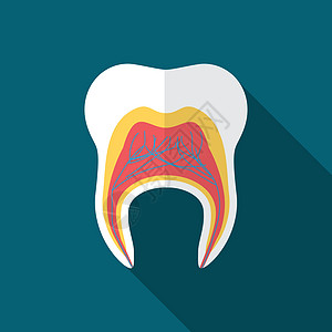 使用长阴影 孤立的牙齿图标现代矢量图示 用长阴影绘制卫生邮票蓝色按钮徽章磨牙圆圈药品海豹凹痕图片