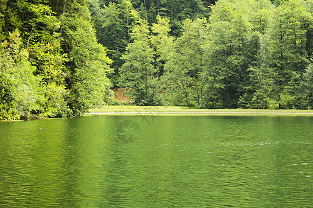 佐治亚山区的贝蒂湖Bateti树木森林蓝色风景季节海岸湖泊旅游环境反射图片