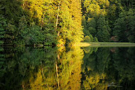 佐治亚山区的贝蒂湖Bateti海滩树木公园湖泊旅游高山全景反射季节蓝色图片
