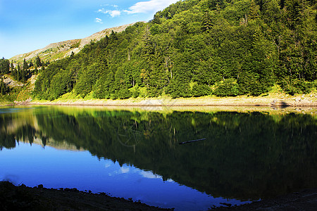 格鲁吉亚的山湖 绿湖全景公园森林天空高山绿色野生动物风景反射海岸图片