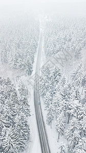 在深冬暴风雨中穿过白雪覆盖的白森林的路 街上还有车图片