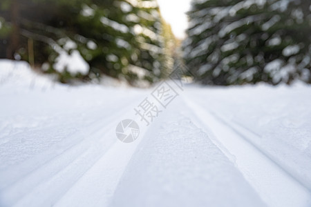 冬季森林中的雪轨 运动图片