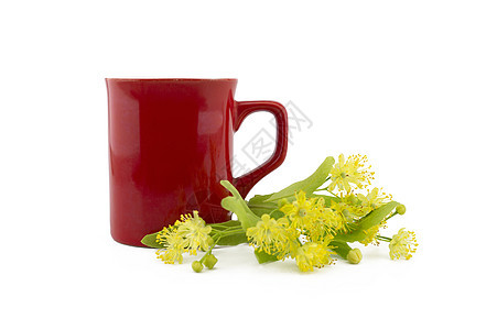 新的林登鲜花和叶子靠近红杯草本植物杯子玻璃草药饮料椴树疗法芳香香气树叶图片