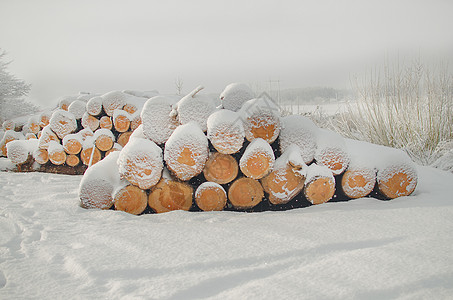 白冬雪下的切木原木 白新雪下的砍伐木松树木材活力灾难生物质柴堆资源木垛季节力量图片