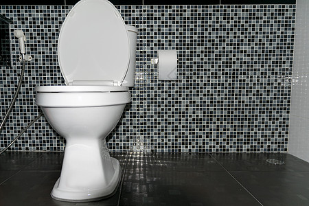 冲水马桶家具酒店卫生间房间壁橱建筑学风格座位隐私洗手间图片