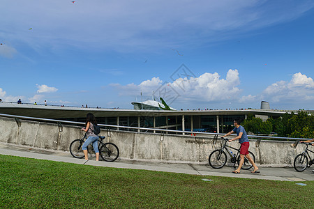 是一个撤退旅游景观公园旅行雕塑棕榈吸引力花园场景摩天轮图片