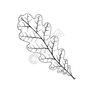 白背景孤立于白背景的一幅画面图片