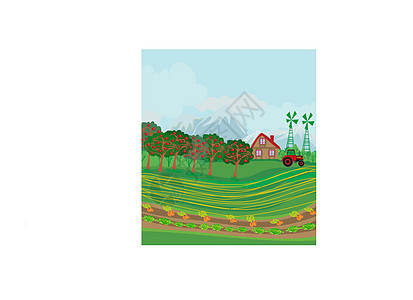 种植胡萝卜和生菜的农村景观图片
