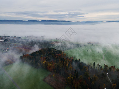 清晨大雾风景与山峰 风景巨石游客天气丘陵全景太阳树梢山雾天空阴影图片