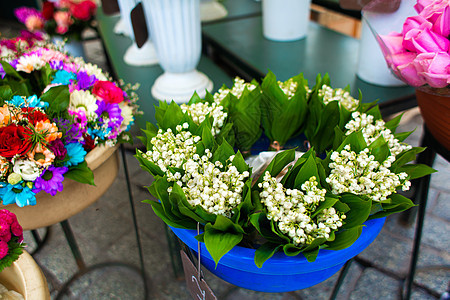 街头花店 街上花瓶里的花商业店铺城市植物群零售展示市场站立礼物植物图片