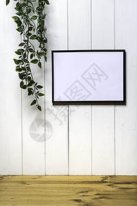 一个空白的黑框和一团圆体床单展示植物文件夹办公室白色海报画廊卡片木板图片