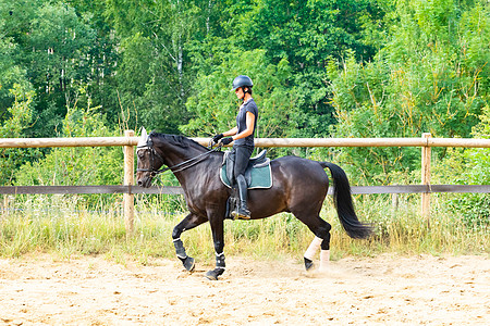 训练骑手和穿着装的海湾马棕色展示马背骑士竞赛骑师动物舞步测试马术图片