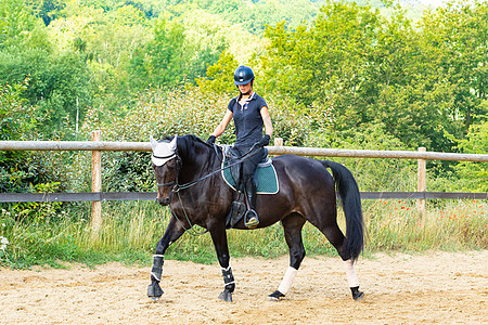 训练骑手和穿着装的海湾马马术舞步骑师女士棕色展示黑色竞赛马背动物图片