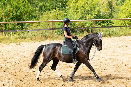 训练骑手和穿着装的海湾马棕色展示动物舞步骑师黑色女士马术马背骑士图片