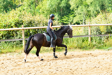 训练骑手和穿着装的海湾马舞步骑士女士展示骑师测试马术动物竞赛黑色图片