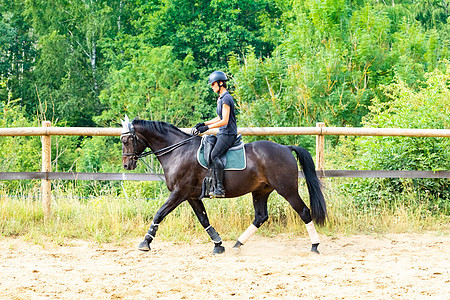 训练骑手和穿着装的海湾马马术骑师黑色马背棕色骑士舞步展示女士动物图片