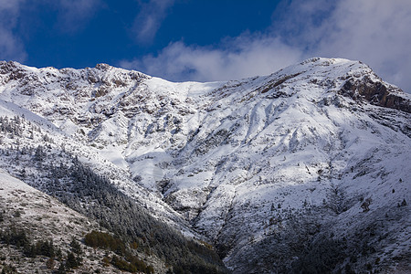 阿拉贡比利牛斯山脉的雪山景观动物群远足石头山脉山毛榉尾座森林天际照片冰川图片