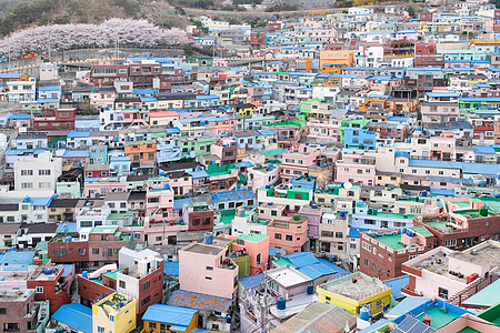 南韩釜山甘川文化村的景象景观全景房屋市中心游客旅行文化天空蓝色糖果图片